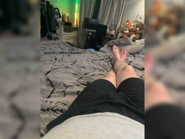 модель Cat69Mouse1