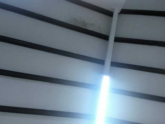 DianaSheren's BongaCams show and profile