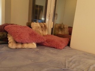 AngelicFox Porn Show