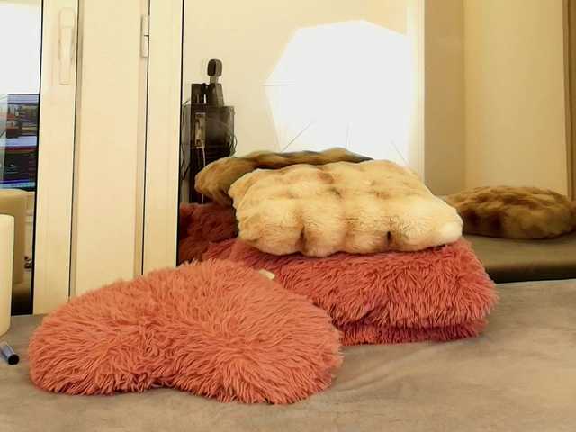 AngelicFox's BongaCams show and profile