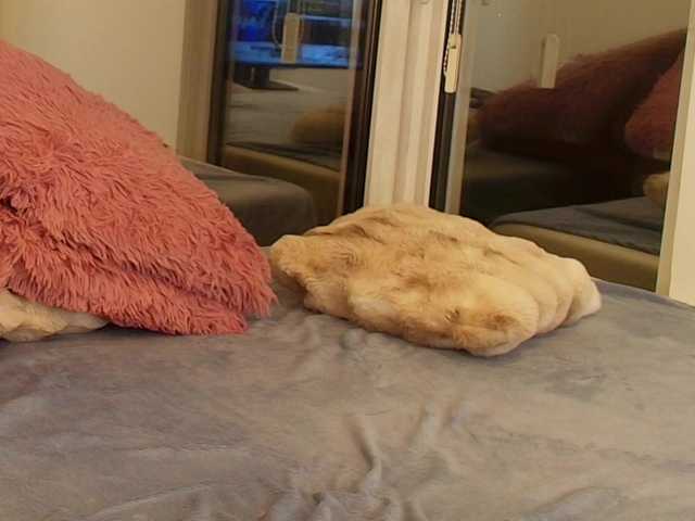 AngelicFox's BongaCams show and profile