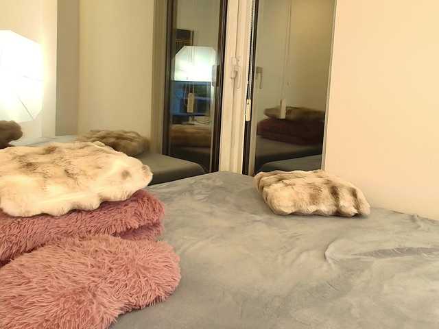 AngelicFox's BongaCams show and profile