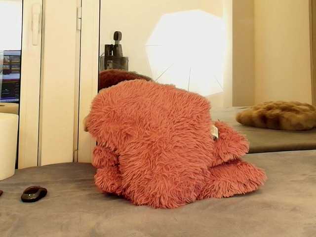 AngelicFox's BongaCams show and profile