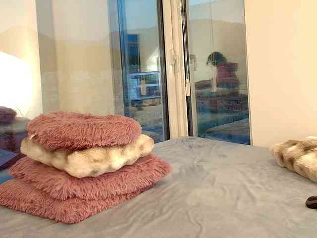 AngelicFox AngelicFox