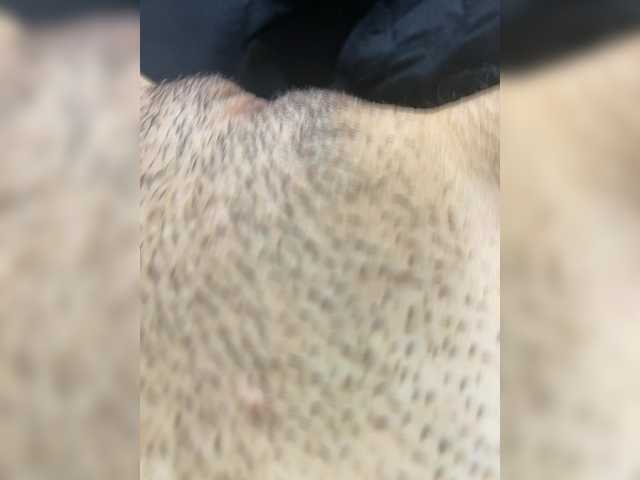 модель barbi-biana