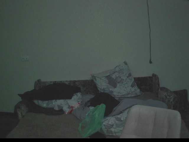 zenkal's BongaCams show and profile