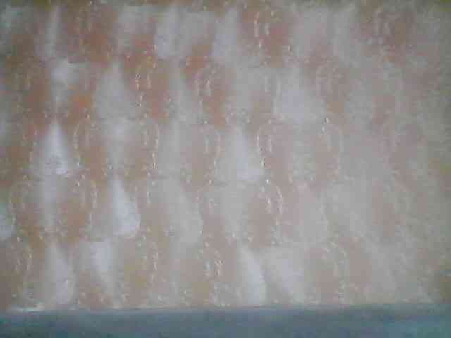 -Lana-Chesner- webcam