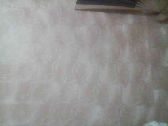 -Lana-Chesner- webcam