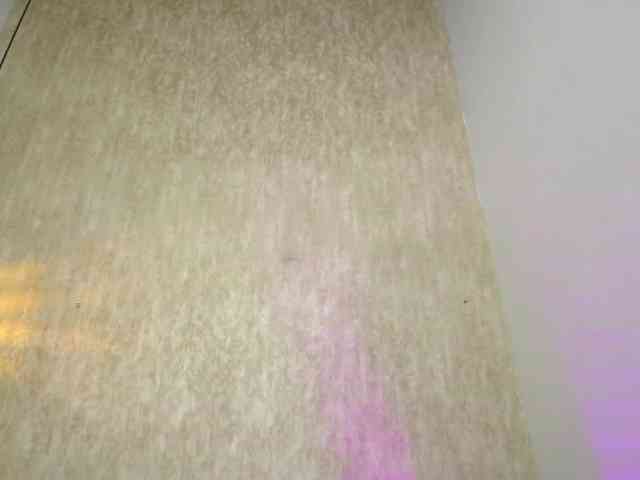 Cataleya-marin webcam