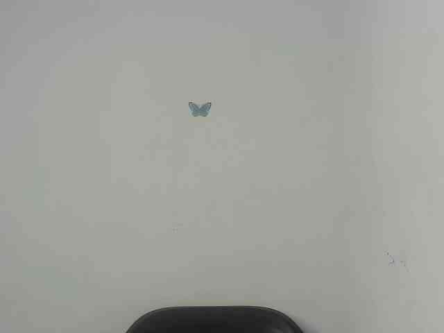 Nasty-fatpussyy webcam