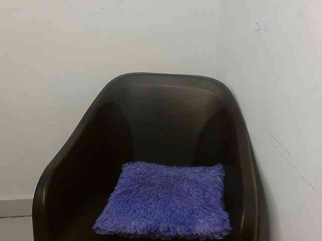 Nasty-fatpussyy Nasty-fatpussyy