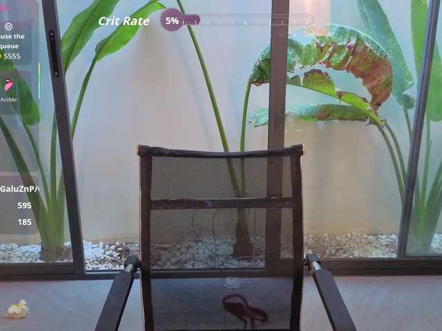 angelcorex's BongaCams show and profile