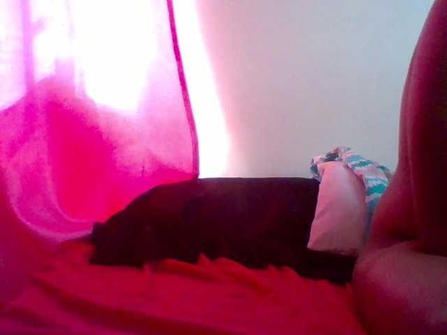 Harujuku's BongaCams show and profile