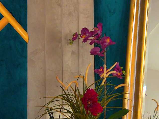 BrunetteBombix's BongaCams show and profile