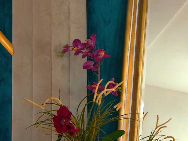 BrunetteBombix's BongaCams show and profile