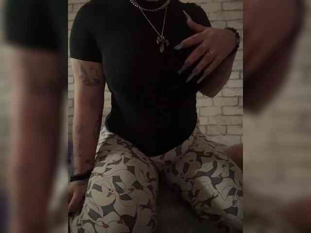 arlekinotwwit webcam