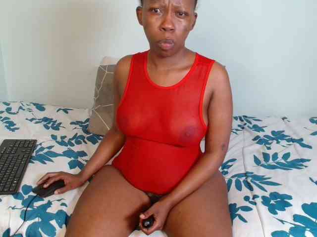 WildVinexx WildVinexx