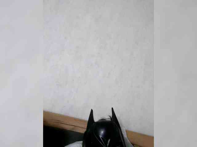 Alisa-Aleks webcam