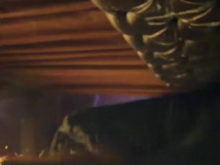 TraciOliver Porn Show