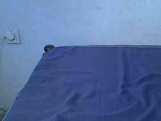 ExoticKiara1 ExoticKiara1