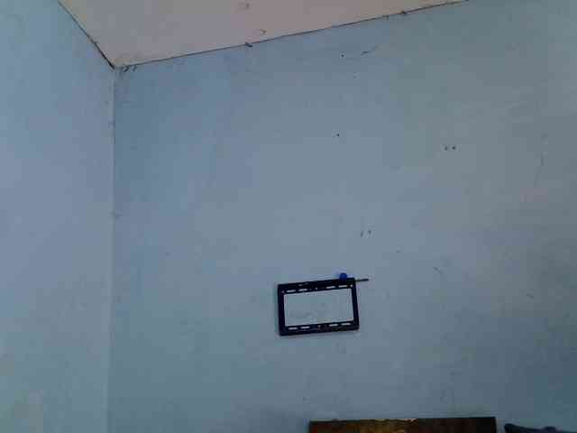 ExoticKiara1 ExoticKiara1