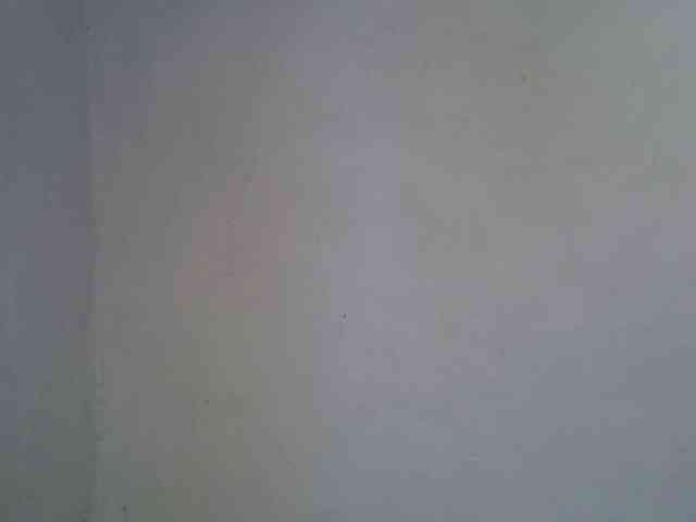 ExoticKiara1 ExoticKiara1