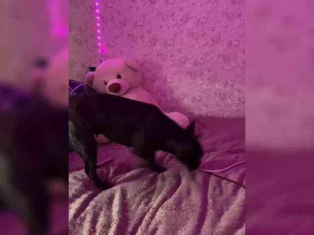 SexyRachel SexyRachel