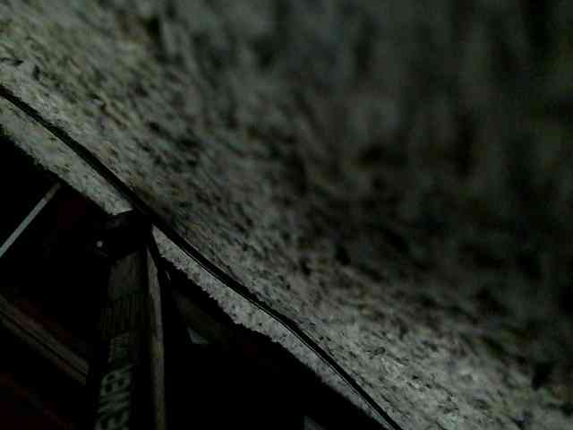 purplekovachiigengar