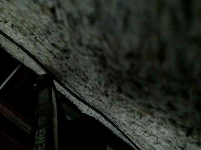 purplekovachiige... Live Webcam on BongaCams