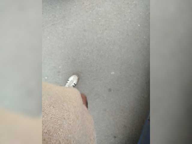 Nastasia69a's BongaCams show and profile