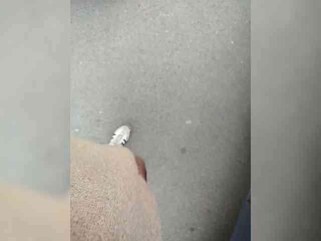 KrasivieNojki webcam