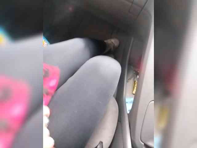 Nastasia69a Live Webcam on BongaCams