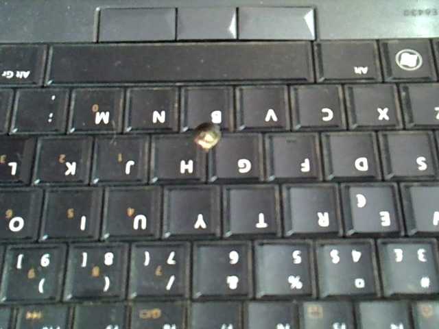 Preview of crazymaya67