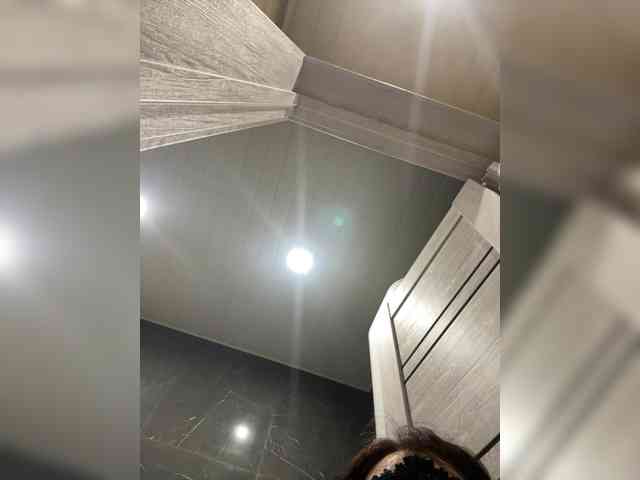 Eva511 webcam