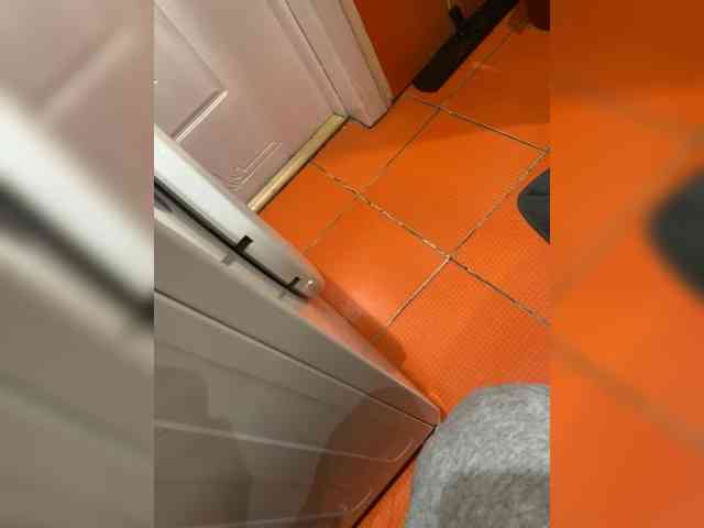 MIKHAIL202 MIKHAIL202