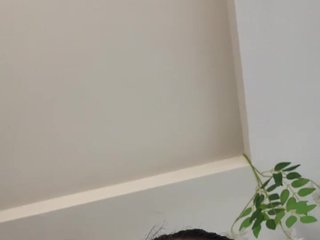 VictoriaHils Porn Show