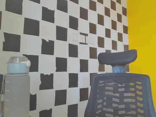 favouritemuse webcam