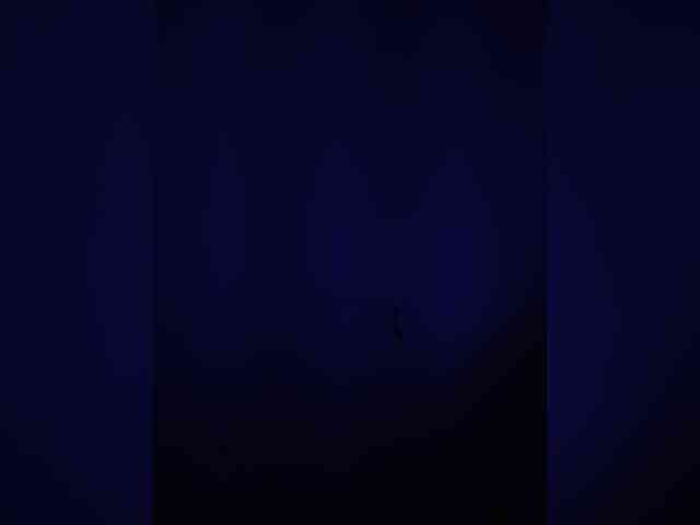 Lunaleonpaar Lunaleonpaar