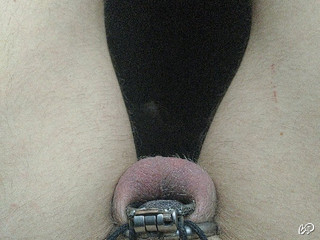 Snapshot 5 de pussyboysissy