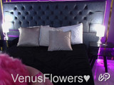 venusflowersのスナップショット 14