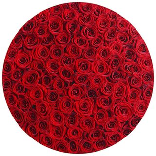 101 roses