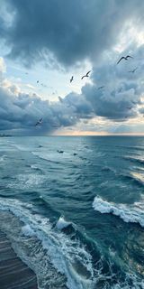 Trip to the sea