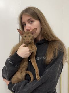 собственный райский домик