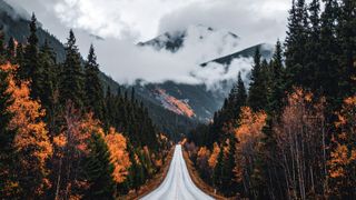 Journey