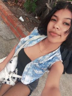 trip to Amsterdam