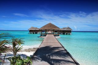 Make our weeding on an island
