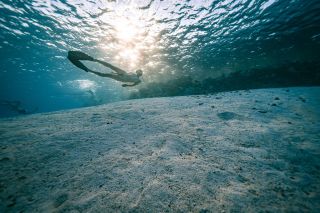 ocean dive & underwater nudes ✨