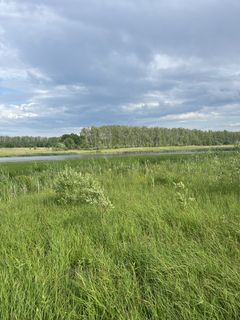 Fishing trip