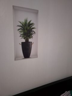 Vase Potrait