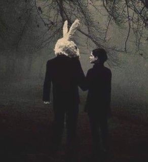 Bunny